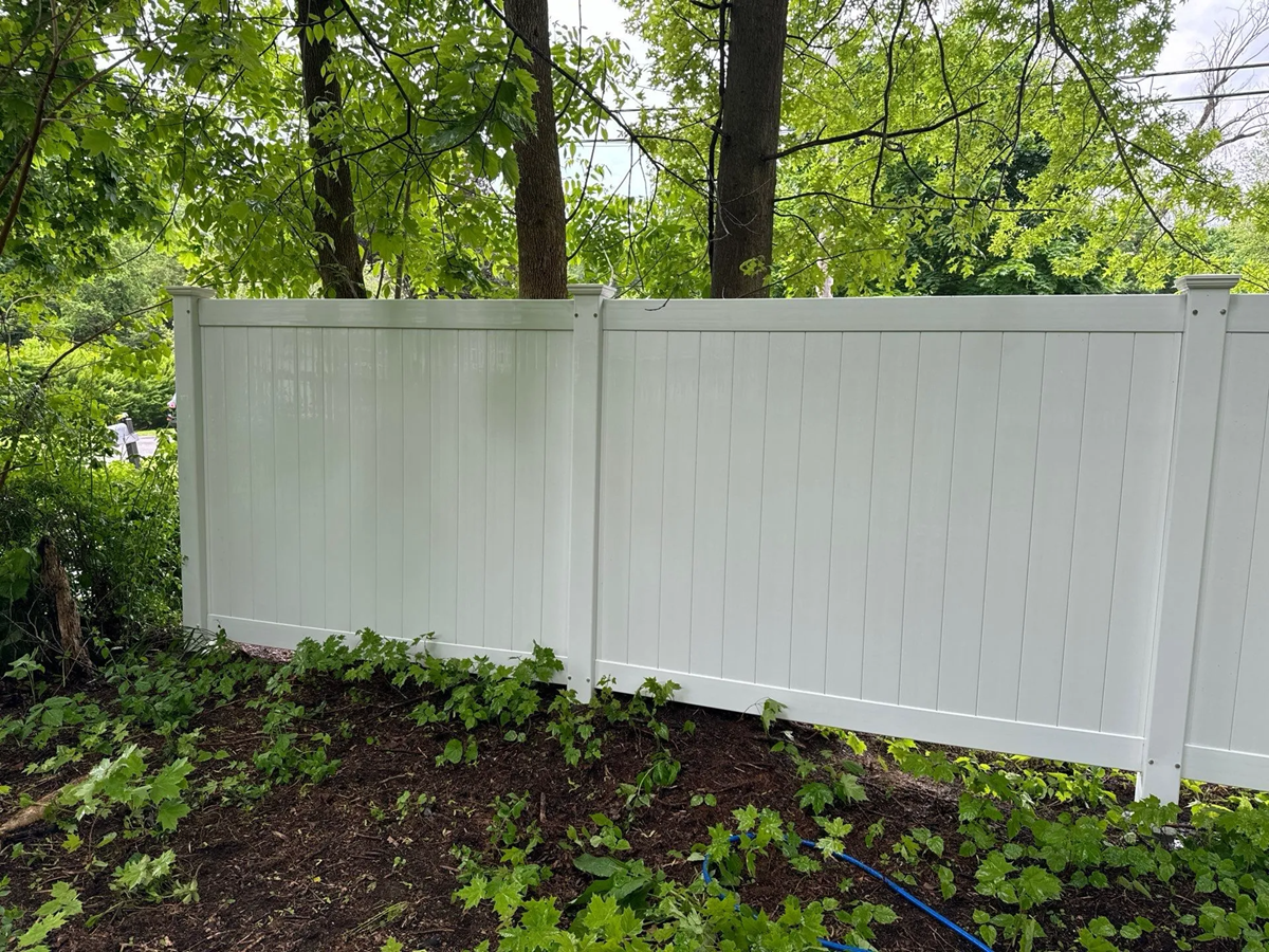 fence cleaning
